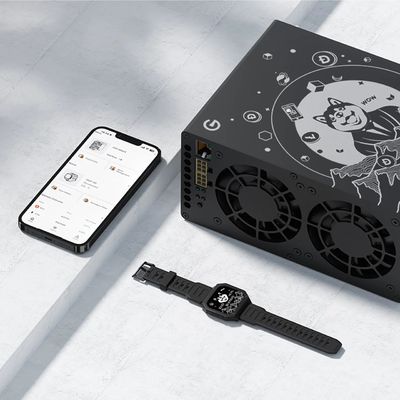 Goldshell Mini-DOGE III 650Mh/S Новый крипто майнер Scrypt Алгоритм LTC Doge Asic Майнер