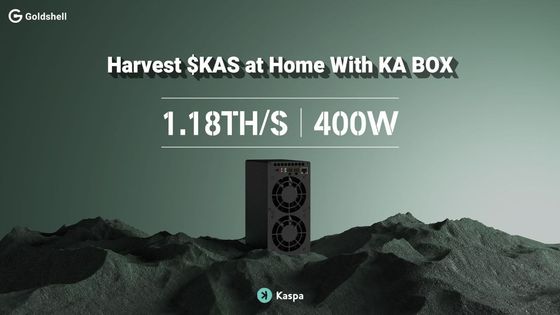 KAS Asic Miner Goldshell KA-BOX 1.18Th/s KHeavyHash Алгоритм Kaspa Майнинг-машина Антмайнер KS5 KS3 Iceriver KS3M